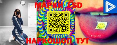 дмт Новозыбков