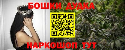 apvp Новодвинск