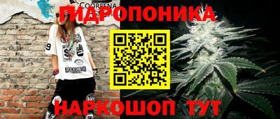 дмт Новозыбков