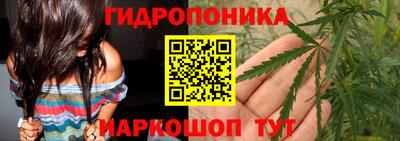 apvp Новодвинск
